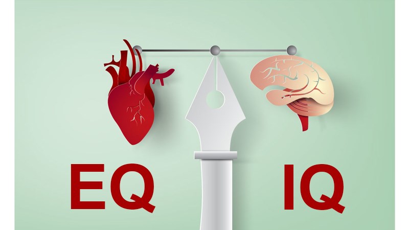Chỉ số IQ và EQ khác nhau nhue thế nào? cùng tìm hiểu nhé