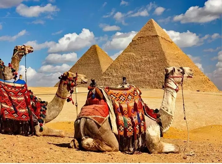 Tham quan sa mạc và kim tự tháp bạn có thể dùng lạc đà 